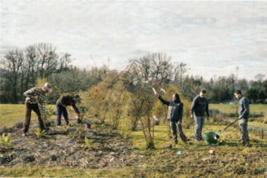 Jeunes en train de ramasser des déchets dans la nature.